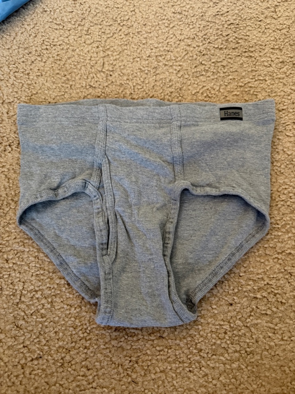 Hanes Men's Briefs in Light Gray